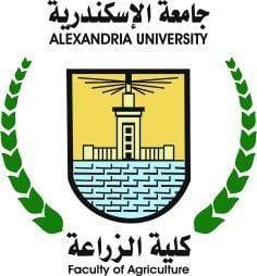 gamaa-gnob-aloady