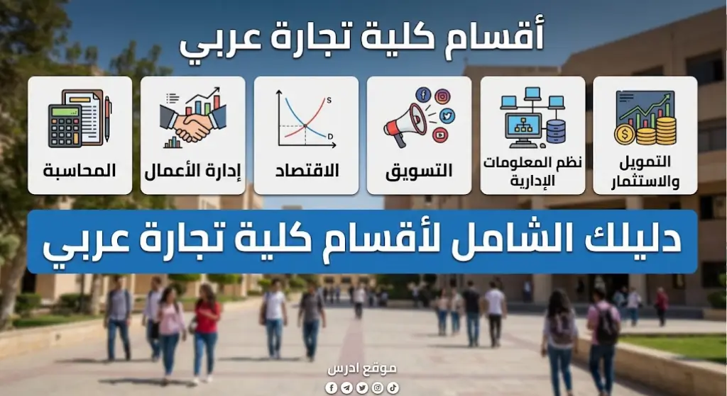 أقسام كلية تجارة عربي دليلك الشامل للتخصص وسوق العمل
